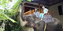   Elephant Safari Park Lodge  -  !